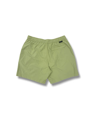 Standard Swim Shorts