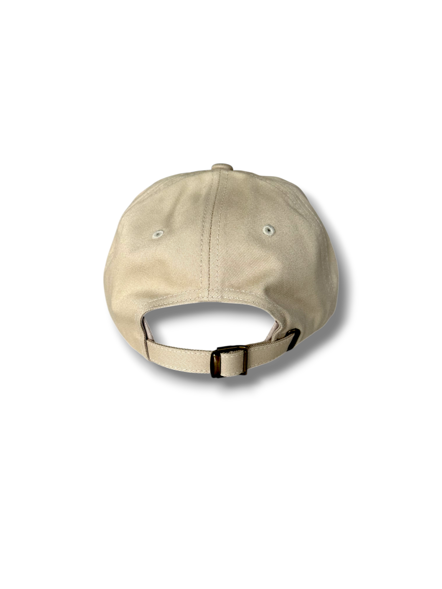 BPC LOGO CAP